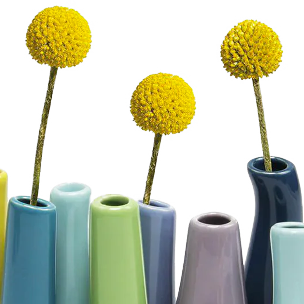 Chive - Wholesale Vase - Pooley Colorful Bud Vase For Flower Arranging Rectangular1