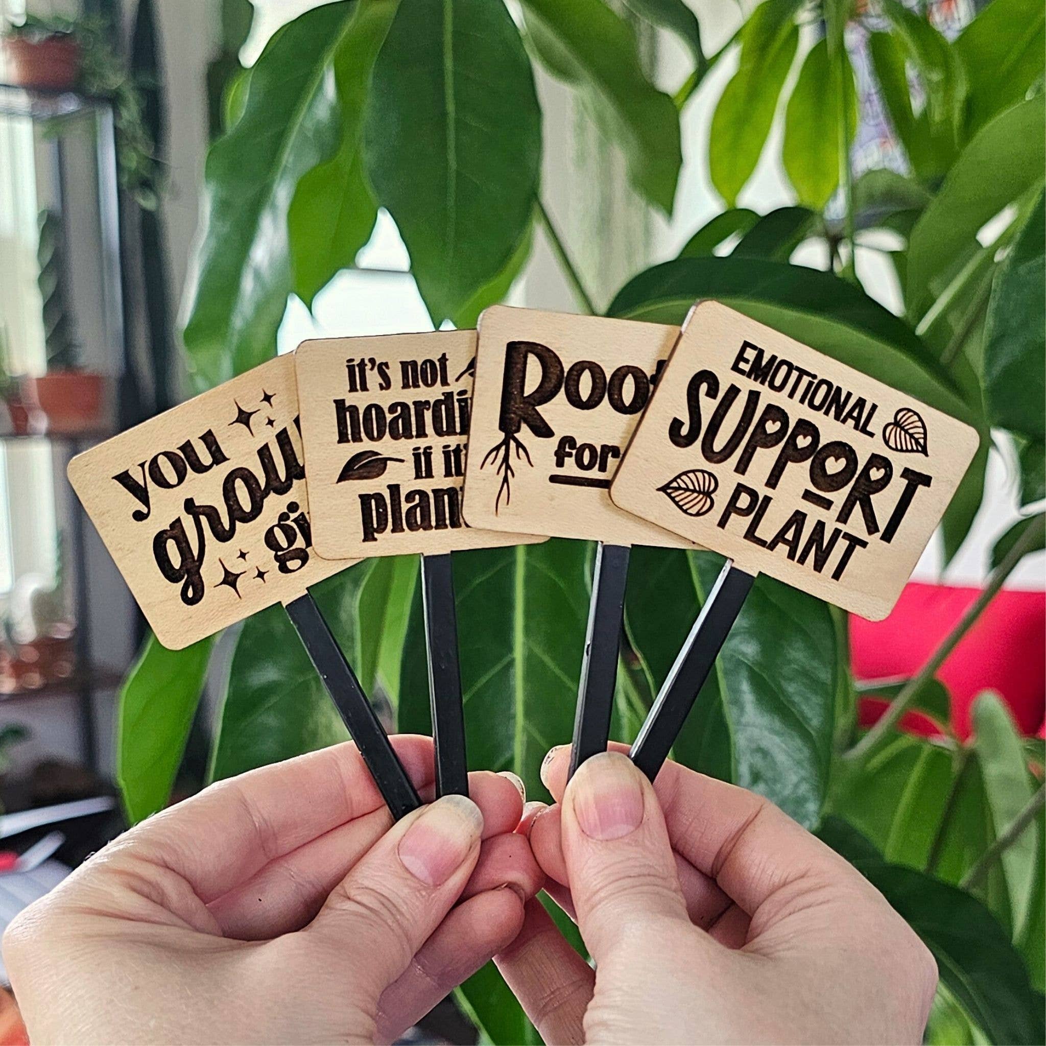 Leaf & Node - Wholesale Plant Pot - Funny Plant Sayings, Indoor Plant Accessories - Plant Stakes9