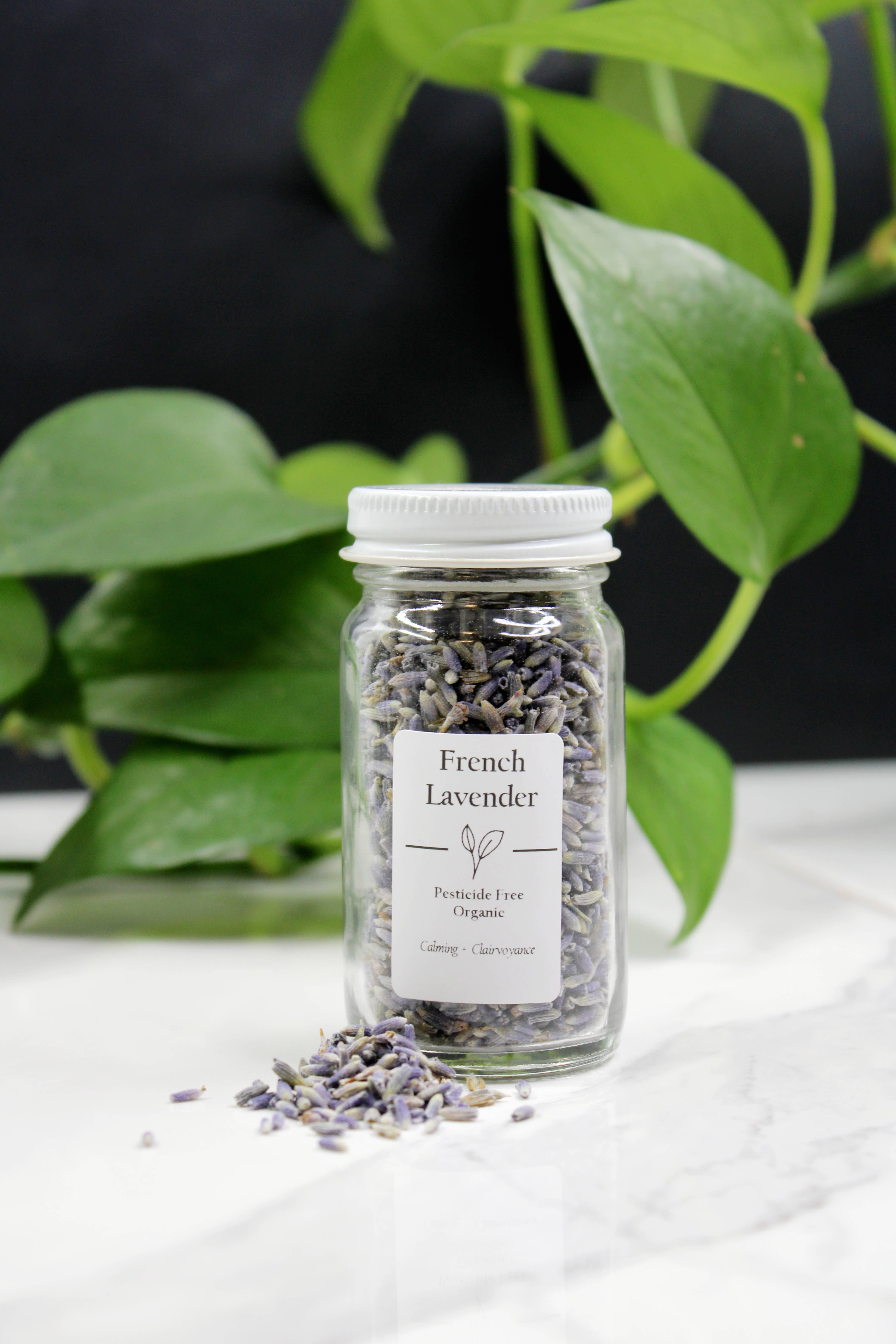 Three Witches Tea Shop – wholesale Herbs – Organic French Lavender3