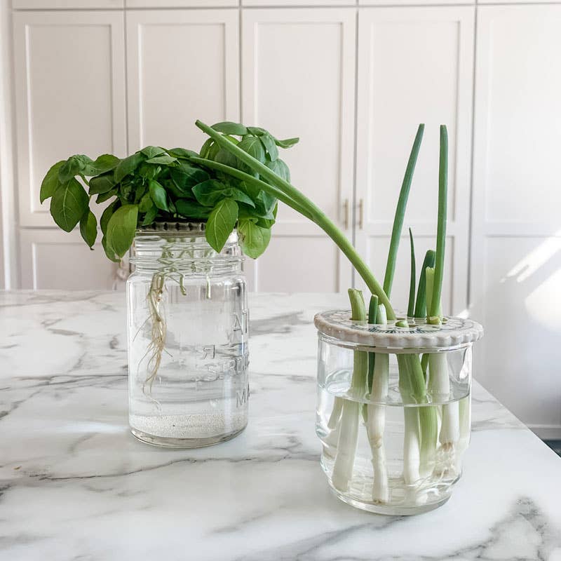 Magpie Mischief - Vente Pot - Grenouille fleurie pour bouquet de bocaux Mason ou propagation, jardin3