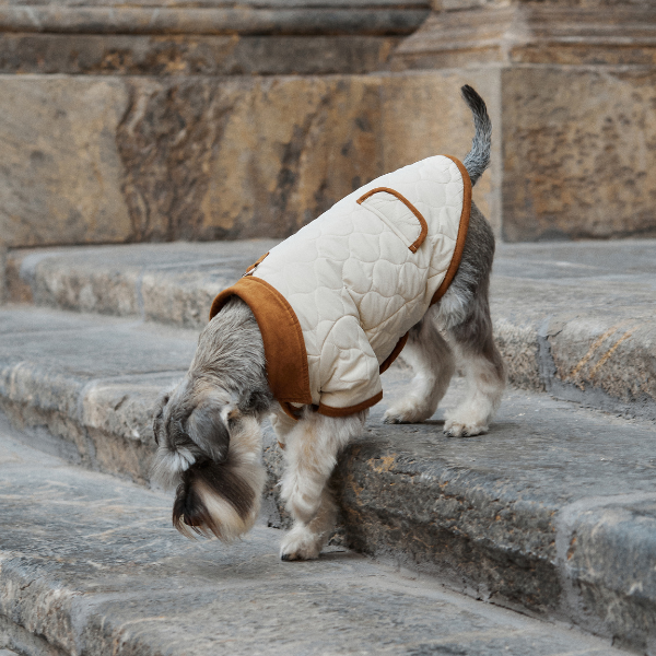 ARISTOPET – wholesale Hundjacka - Hund – Spencer-jacka för husdjur med vaddering och stilren design10