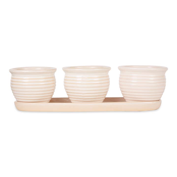 Zingz Home - Wholesale Plant Pot - Cream Round Ceramic Small Planter Set Of 3