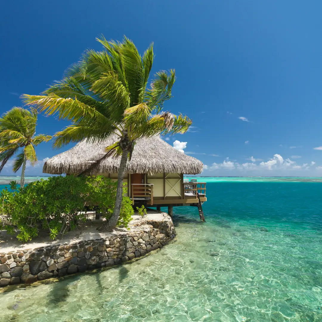 Indigo Scents Candle Co. - Venta al por mayor Limpiasuelos - Jabón para Fregona Brisa Brasileña2