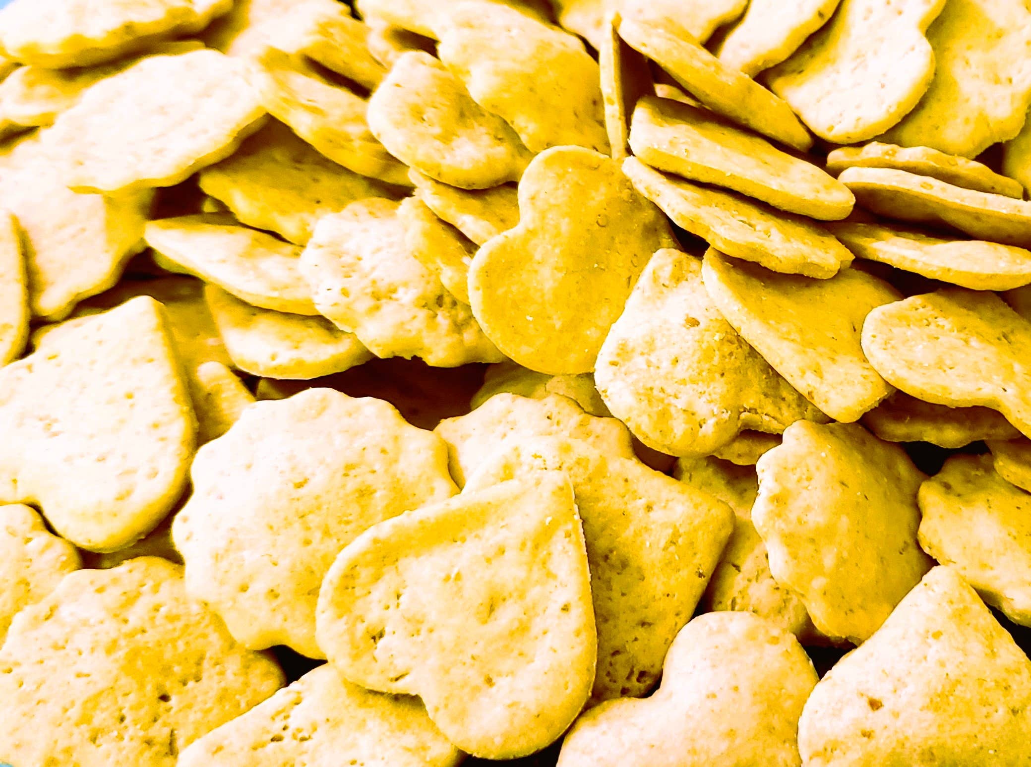 Veronica's Doggie Delights - Wholesale Pet Treats - Dog - Peanut Butter Pumpkin0