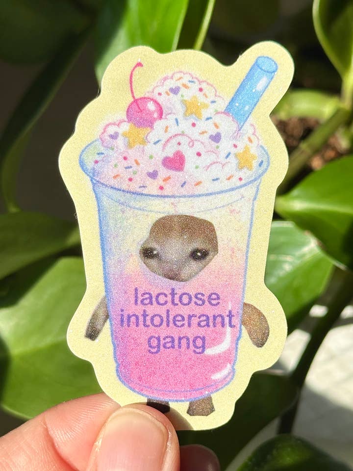 Autocollant de chat intolérant au lactose | Autocollant de mème de chat triste SII pour la vente par Uni & Umi
