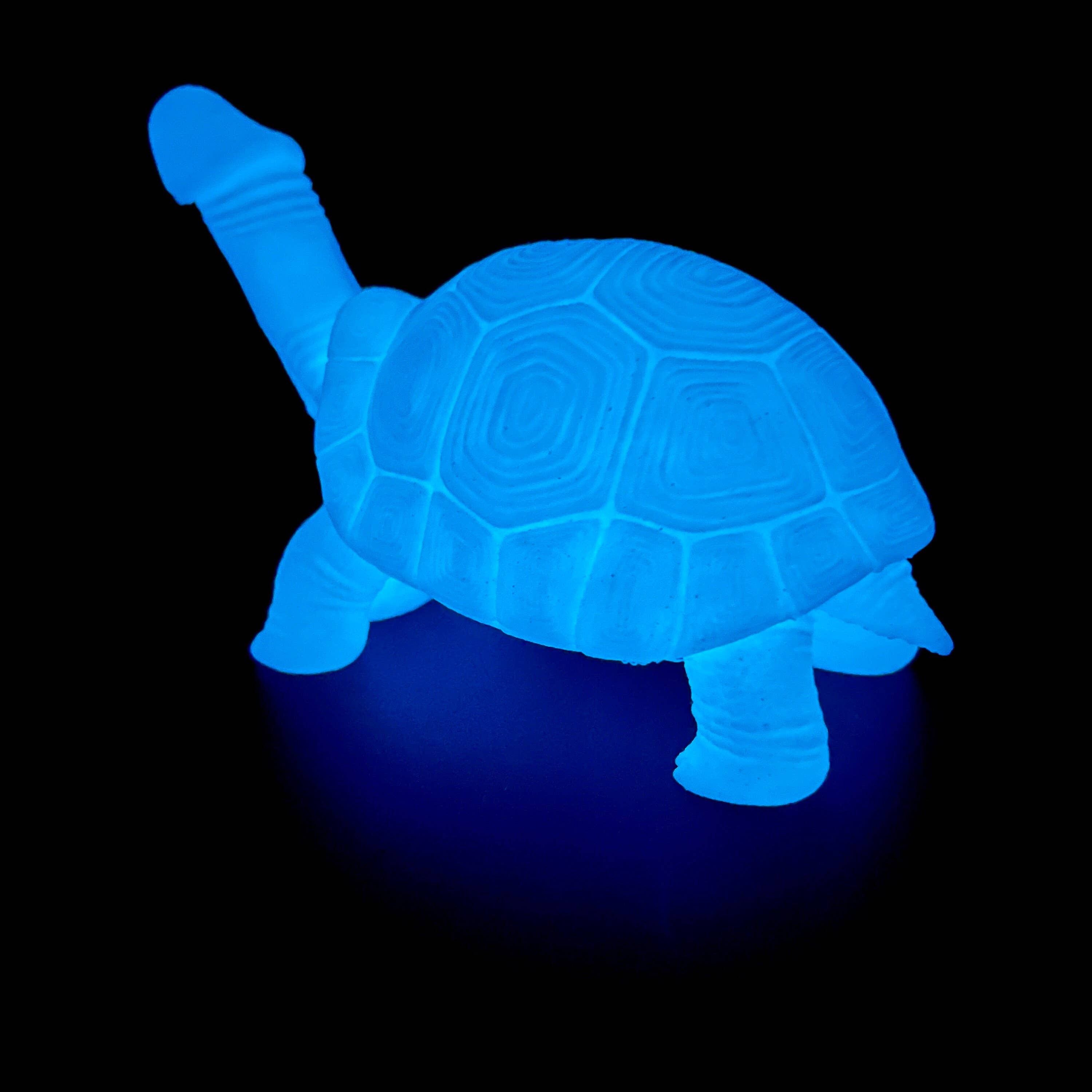 NumanPrints - Vendita all'ingrosso Regalo divertente/originale - Festa di addio al nubilato con la modella Dick Turtle Tortoise7