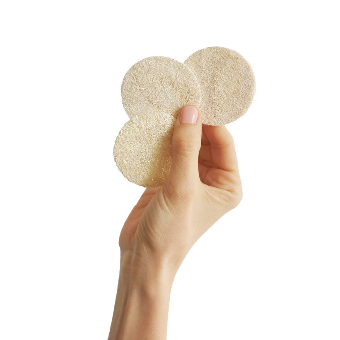 Cose Della Natura - Vente Luffa - Disquettes Loofah