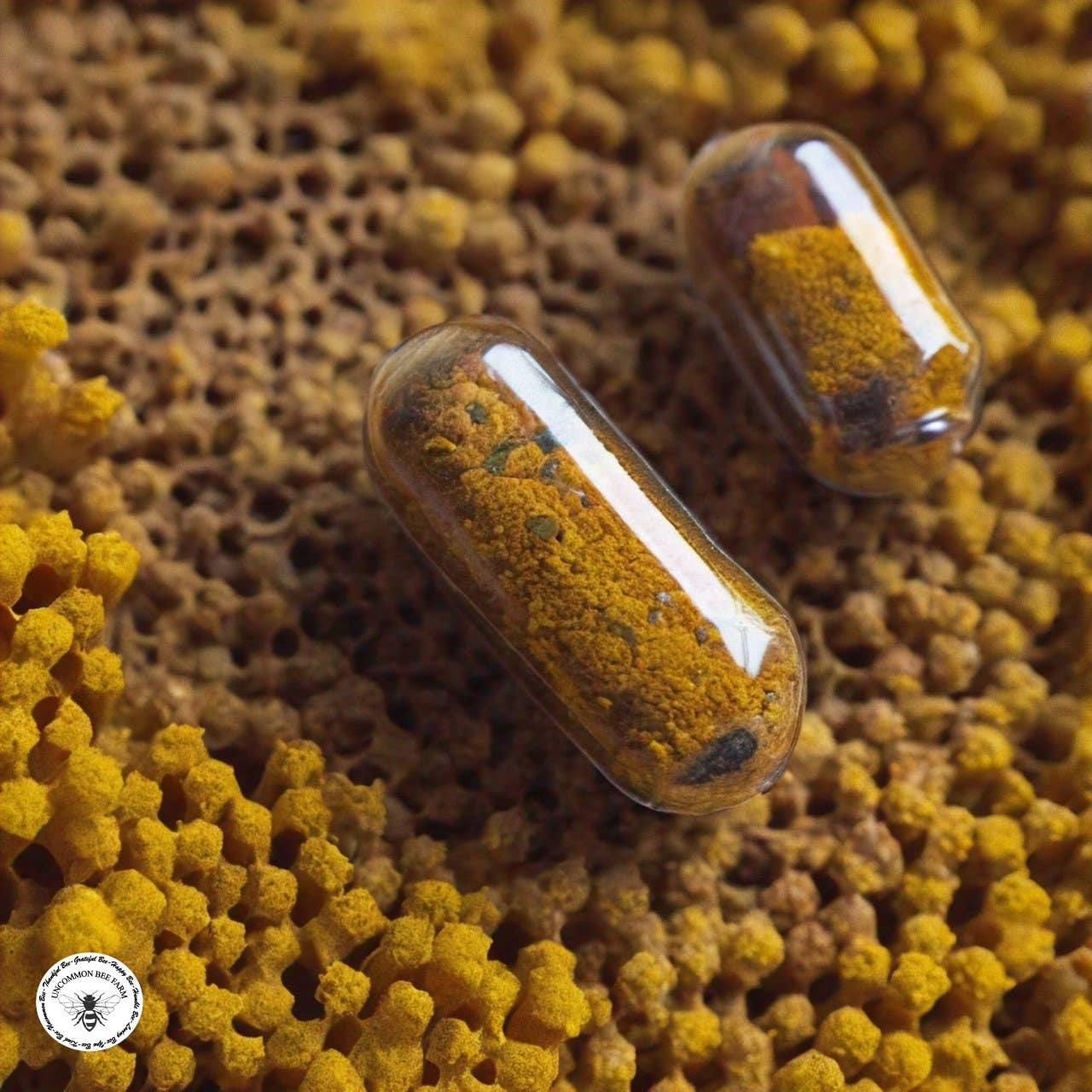 Uncommon Bees - Wholesale Oral Supplement/Vitamin - Bee Pollen Capsules 500mgs1