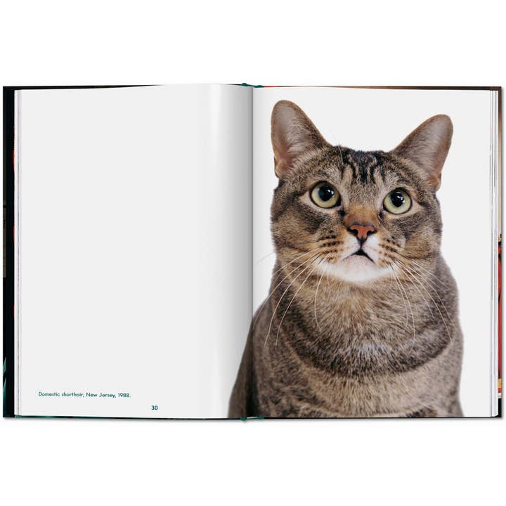 TASCHEN America - Wholesale Pets - Walter Chandoha. Cats. Photographs 1942–2018 (English)2