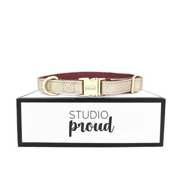 Studio Proud - Wholesale Pet Collar - Dog - Collar Gold Snake