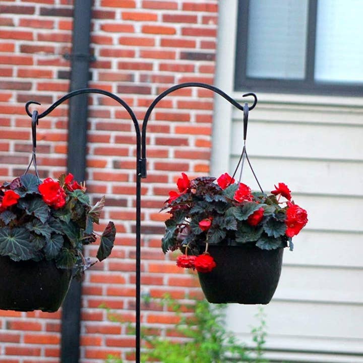 Ashman Online - Wholesale Outdoor Ornament/Decor - Ashman Shepherds Hook 65 Inch Two Sided Shepherd Hook, 1/2 Inch Thick, Super Strong, Rust Resistant Steel Hook for Hanging Plant Baskets, 4 Pack