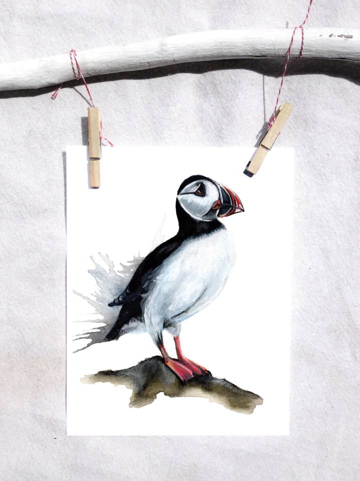 Bird Puffin Art Print for wholesale by Lindsey Munson
