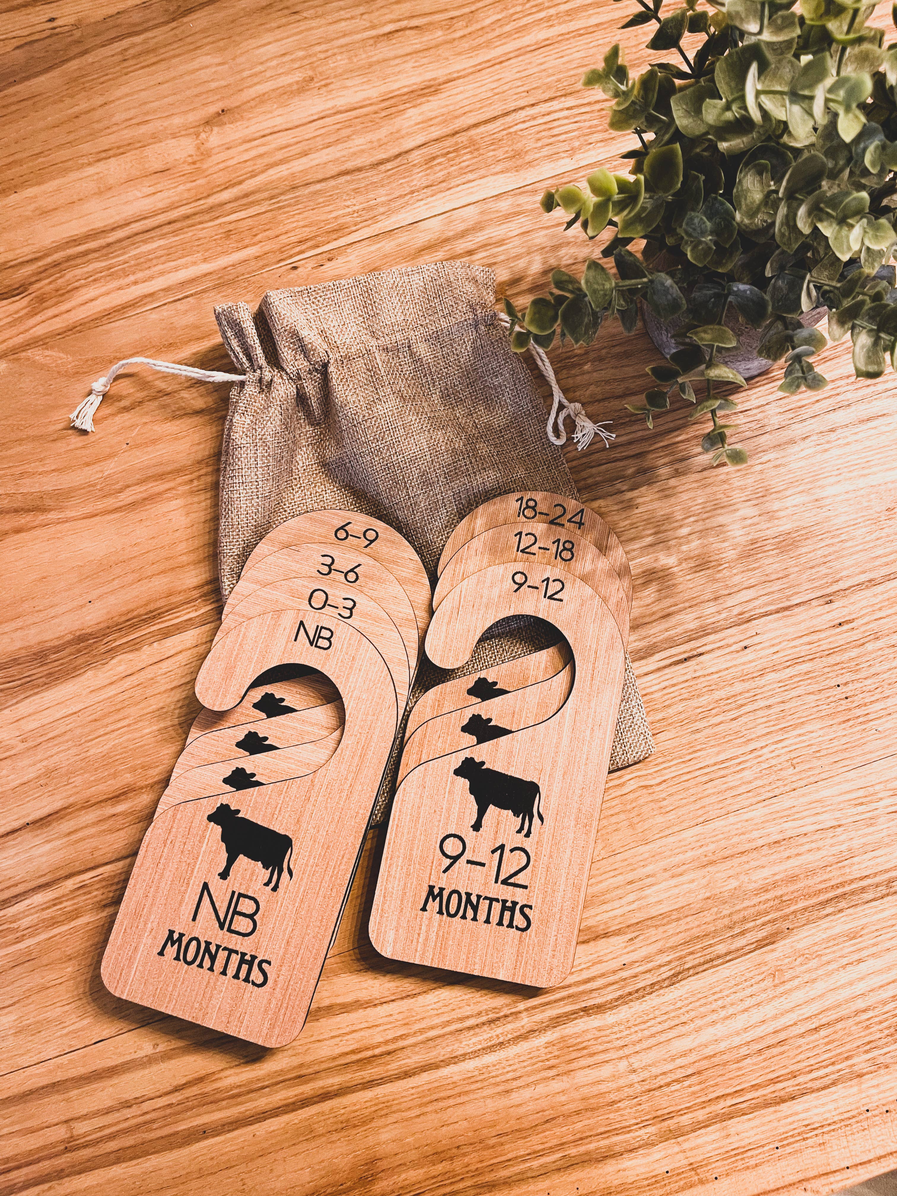 Simply Stained Shop - Wholesale Milestone art/keepsake – Child & baby - Cattle Ear Tag Baby Closest Hangers + Milestone cards + anno10
