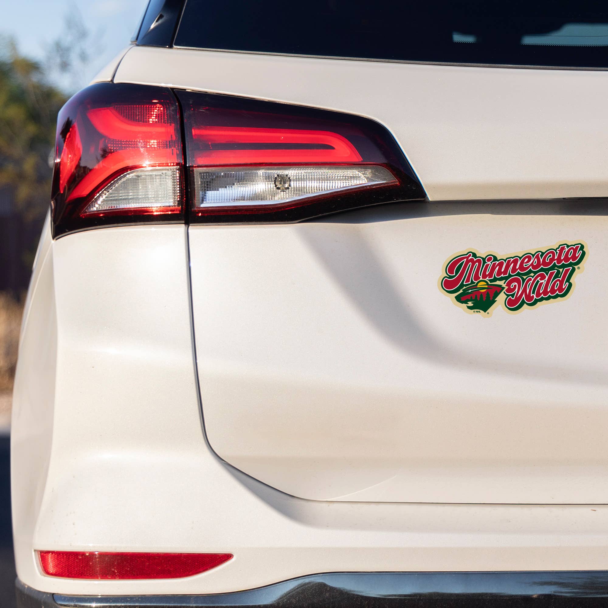 Rico Industries - Wholesale Car Decorative Charm - Unisex - NHL Hockey Vancouver Canucks Vintage Look 4" X 6" Decal1