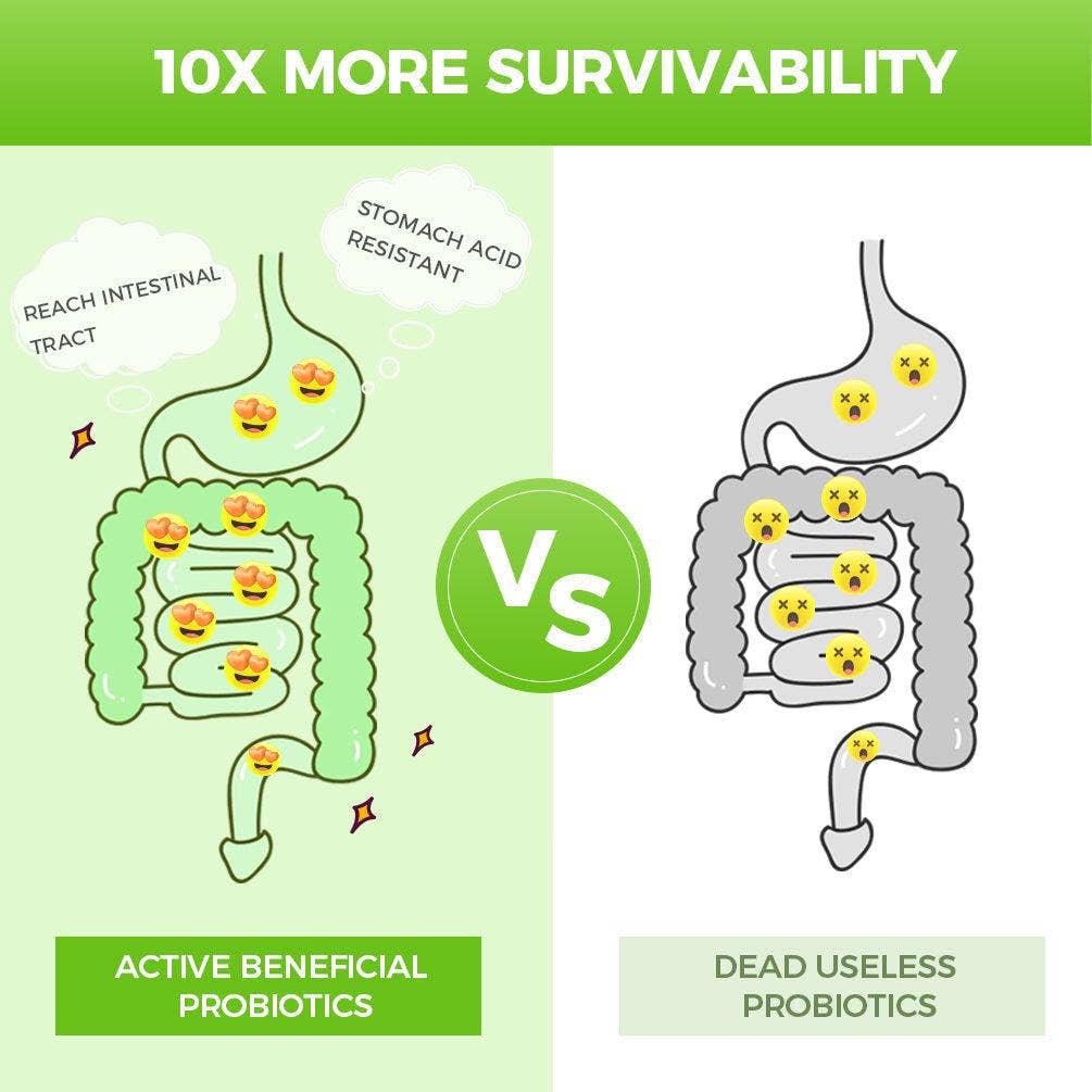 Nature Target - Wholesale Oral Supplement/Vitamin - NATURE TARGET Probiotics Powder for Women-Men-Kids Gluten Free 30 Packets2