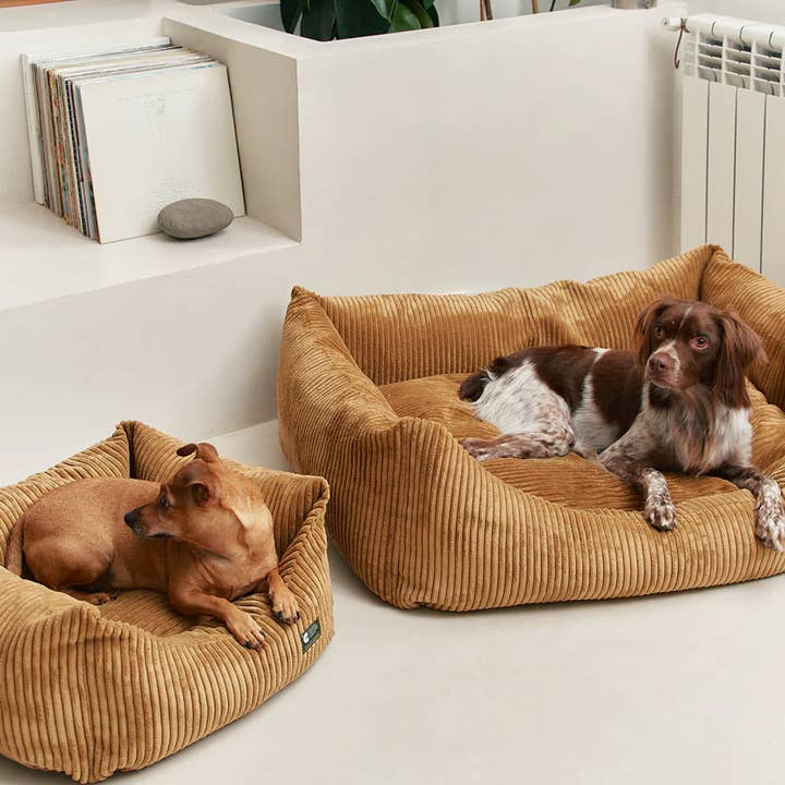 CAFIDE - Wholesale Pet bed – Dog - Snozy Mustard Velvet Dog Bed1