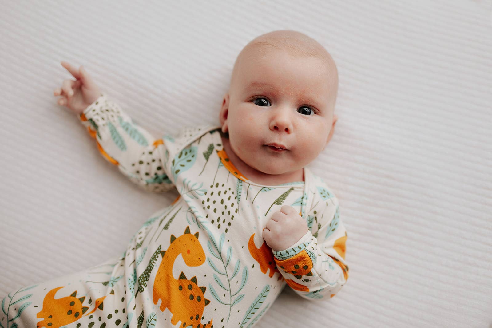 Three Little Tots - Wholesale Babygown - Baby - Dinosaur Animal Print Zoo Knotted Gown24