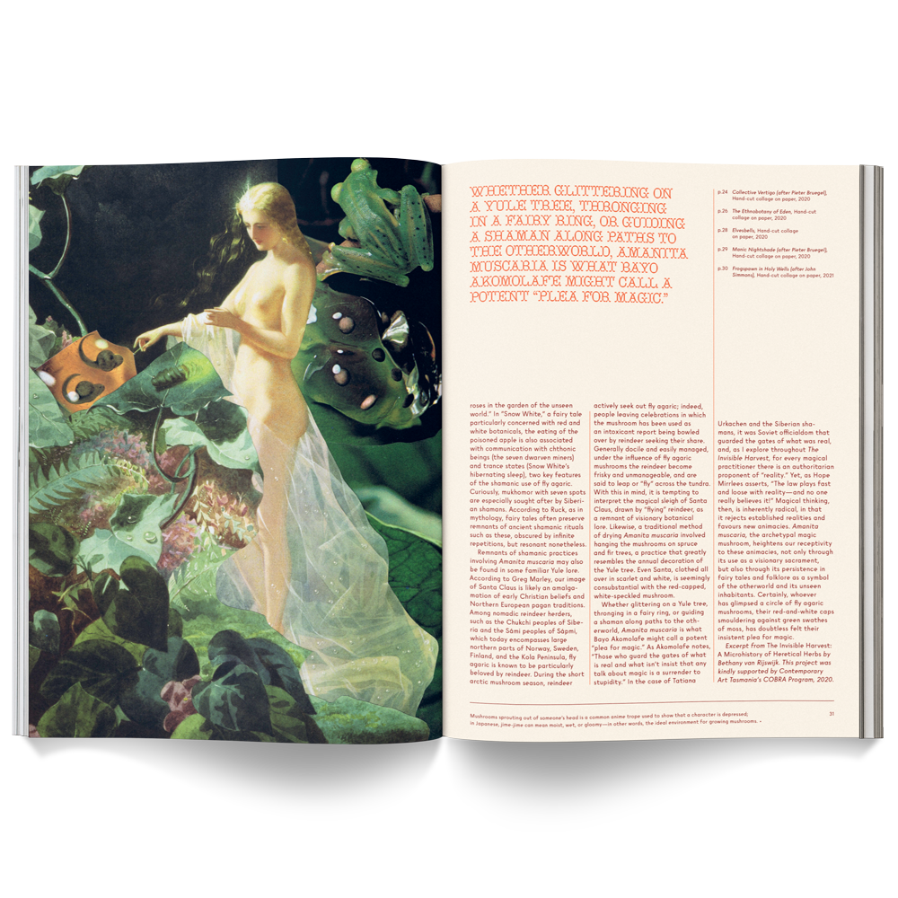 Broccoli - Wholesale Magazine - Mushroom People Magazine3