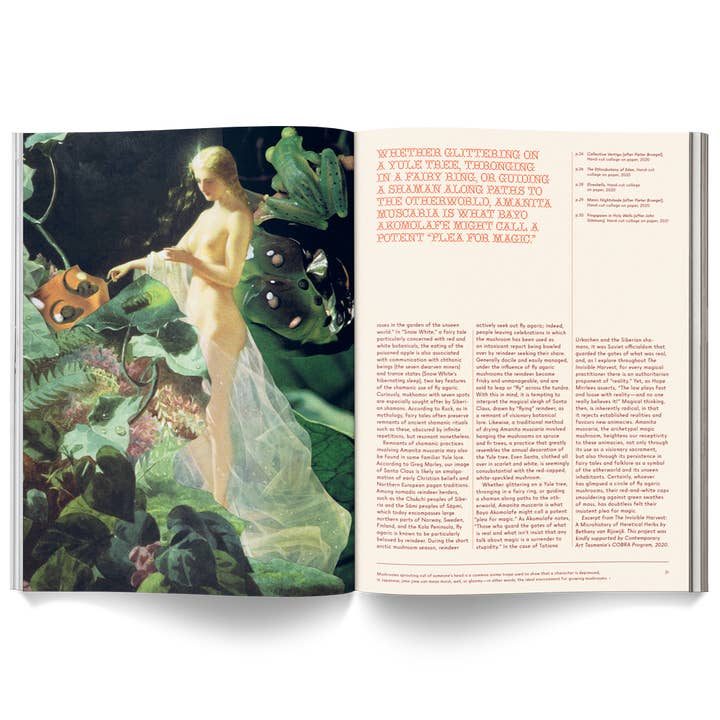 Broccoli - Wholesale Magazine - Mushroom People Magazine3