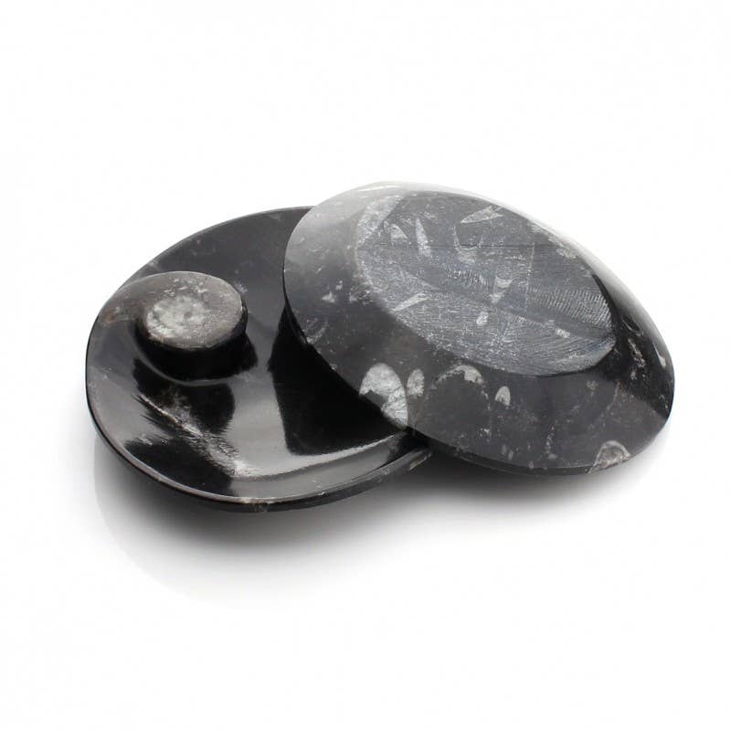 UniArt - Vente Objets de décoration - Assiettes décoratives avec ammonites et orthoceras authentiques8