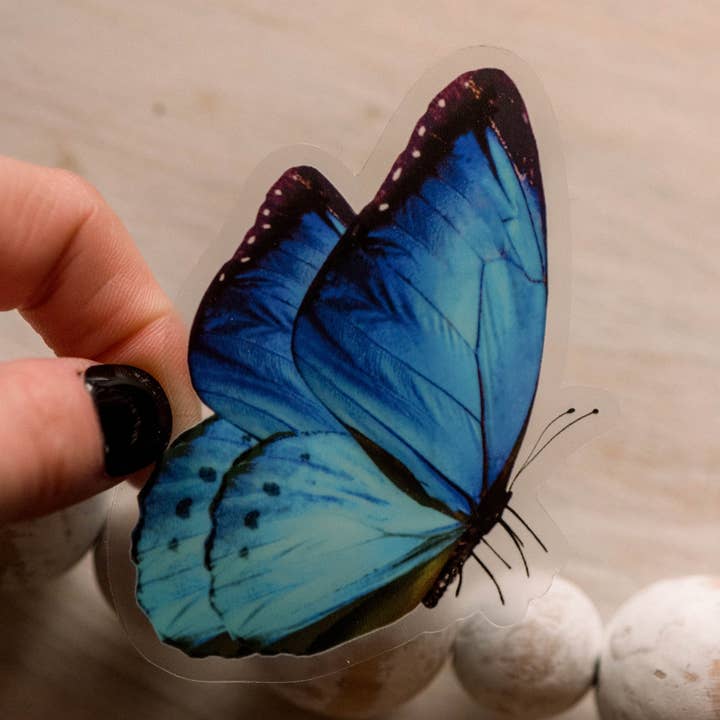 Bright Blue Butterfly Clear, Vinyl Sticker, 3x3 in. for wholesale by Savannah and James Co