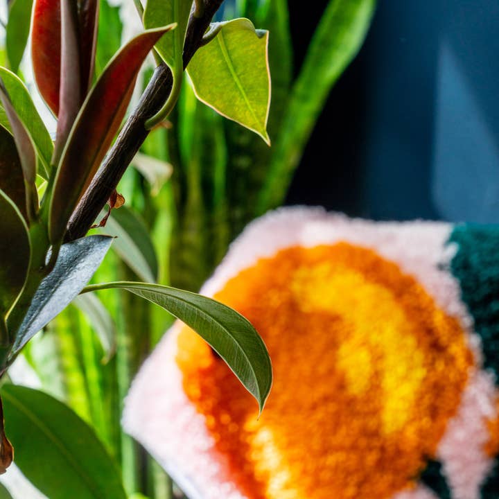 The Crafts Collective – wholesale DIY craft kit – A Bounty of Oranges Latch Hook Rug Kit5