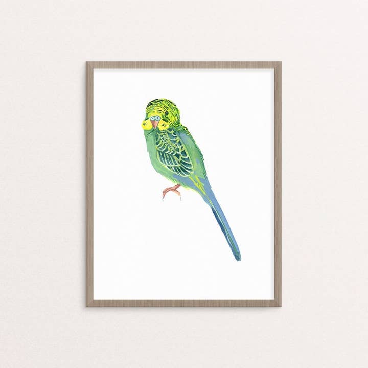 Teal Parakeet Budgie Bird Illustration Giclee Print for wholesale by Stephanie Missan Studio