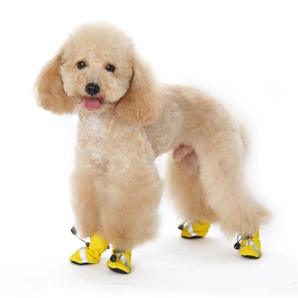 Dogo Pet - Wholesale Pet Boots - Dog - Slip-ON Paws V3