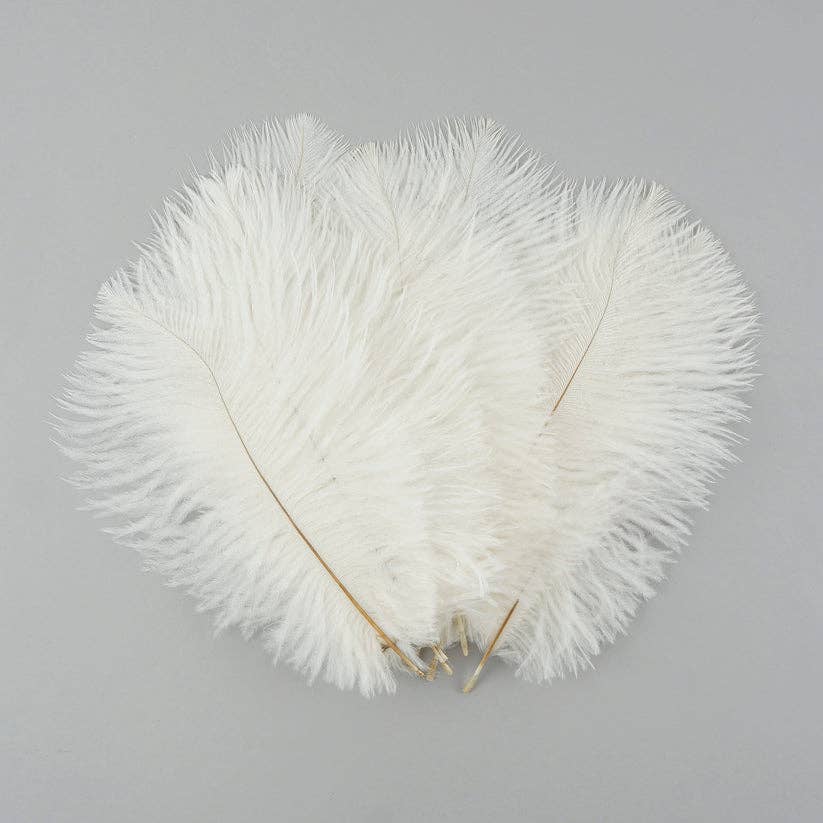 Zucker Feather Products – wholesale Fjädrar – Strutsfjädrar 4-8" Drabb - Vit2