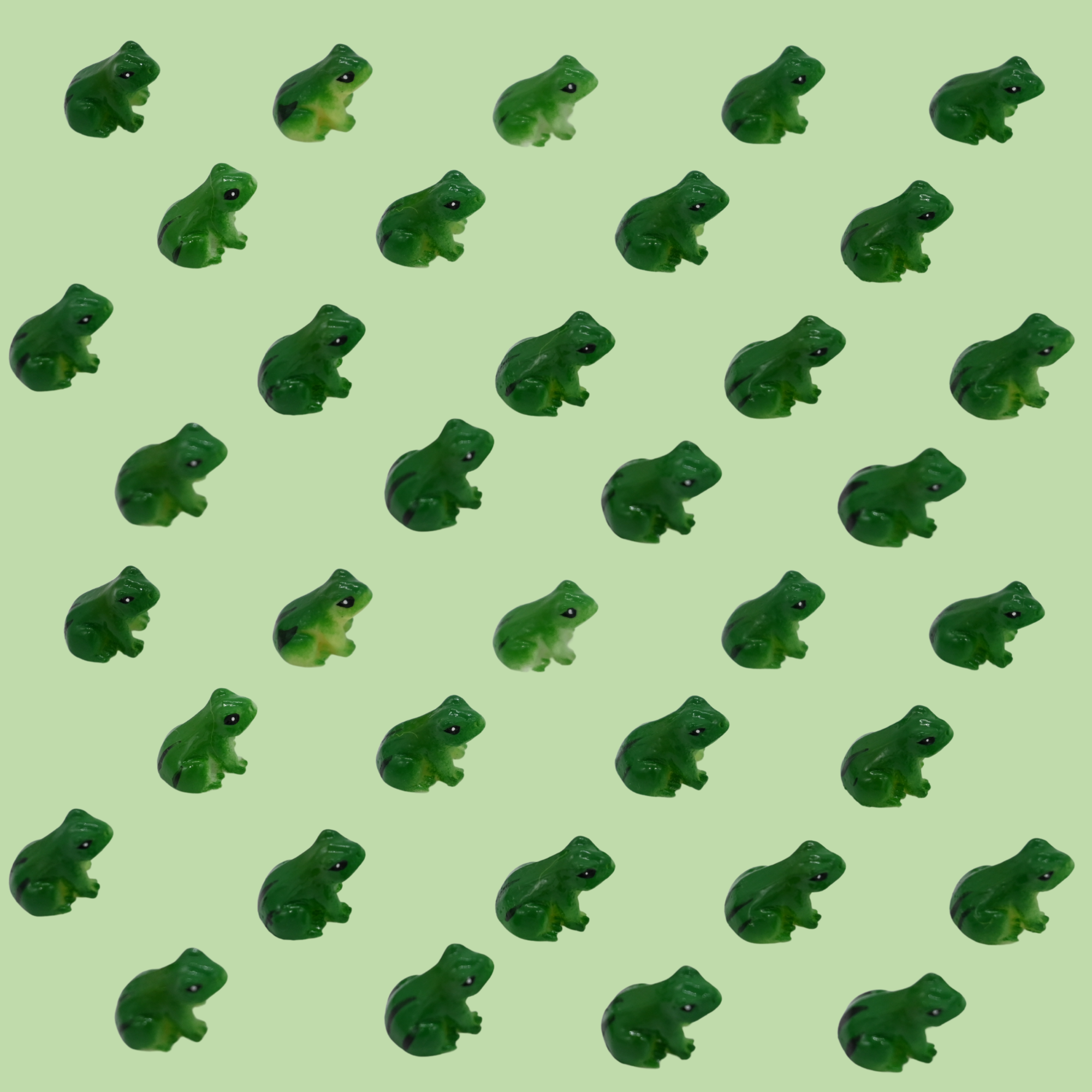 Riley Grae - Wholesale Gag Gift/Novelty Gift - Pet Frog Friend3