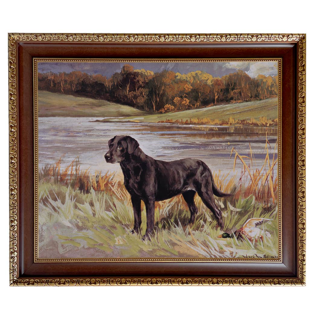 Madison Bay Co. - Historical Home Decor Reproductions - Wholesale Art Print - Labrador Retriever with Duck Framed Painting Print on Canvas85