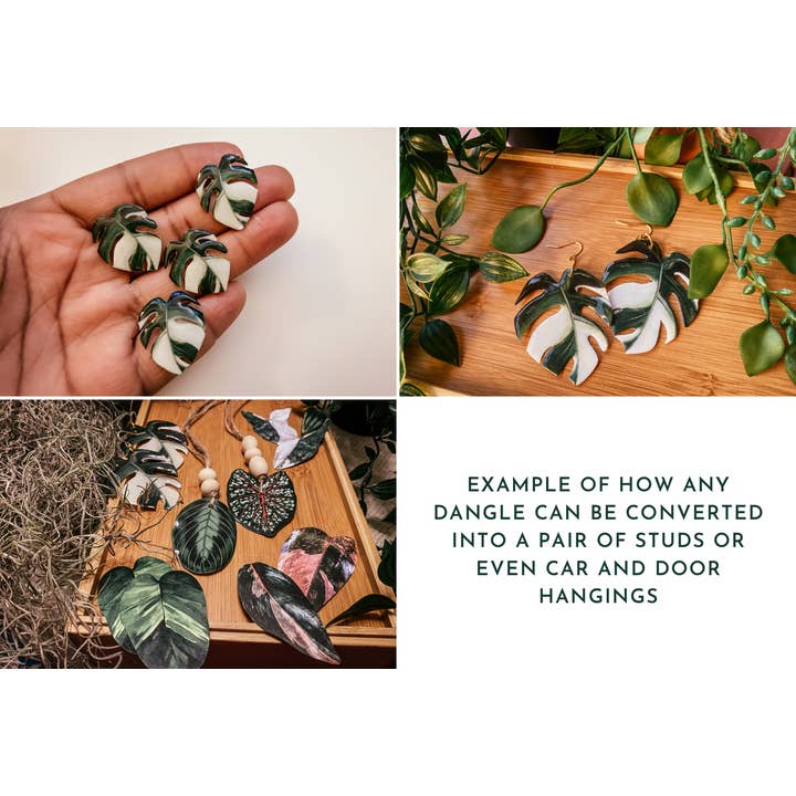 hethr – Engroshandel Hængeøreringe og creoløreringe – Anthurium Clarinervium Plant: Ørering, Magnet, Pin, Indretning8