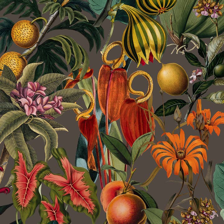 Lush - Papier peint marron pour la vente par Detroit Wallpaper Co.