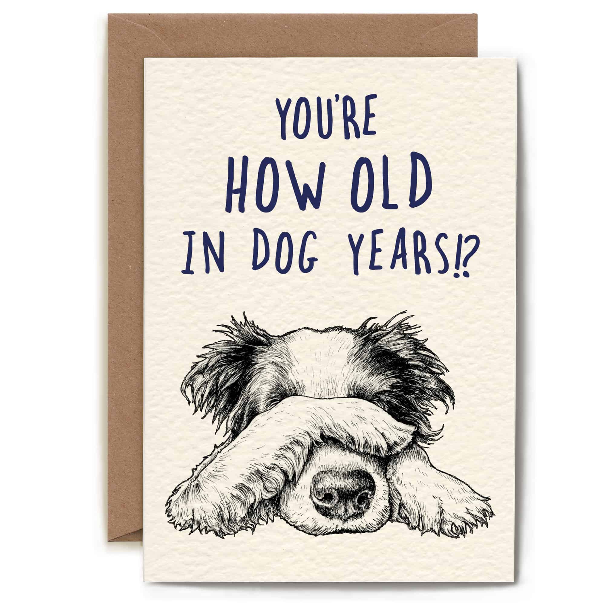 Bewilderbeest – wholesale Birthday card – Dog Years Card - Birthday Card1