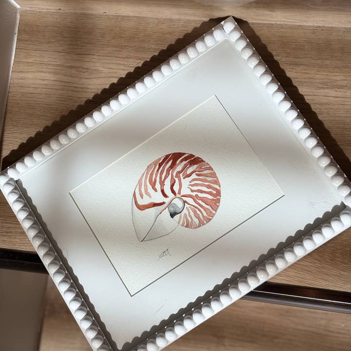 Nautilus-Muschel, Original Aquarellgemälde, 20x25 cm für den Großhandel von Paper Shells Studio