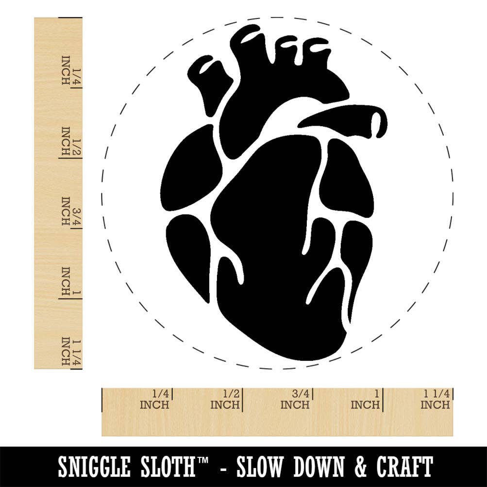 Sniggle Sloth - Wholesale Rubber/Decorative Stamp - Realistic Heart Four Chambers Anatomy Biology Love Science Rubber Stamp for Stamping Crafting Planners3