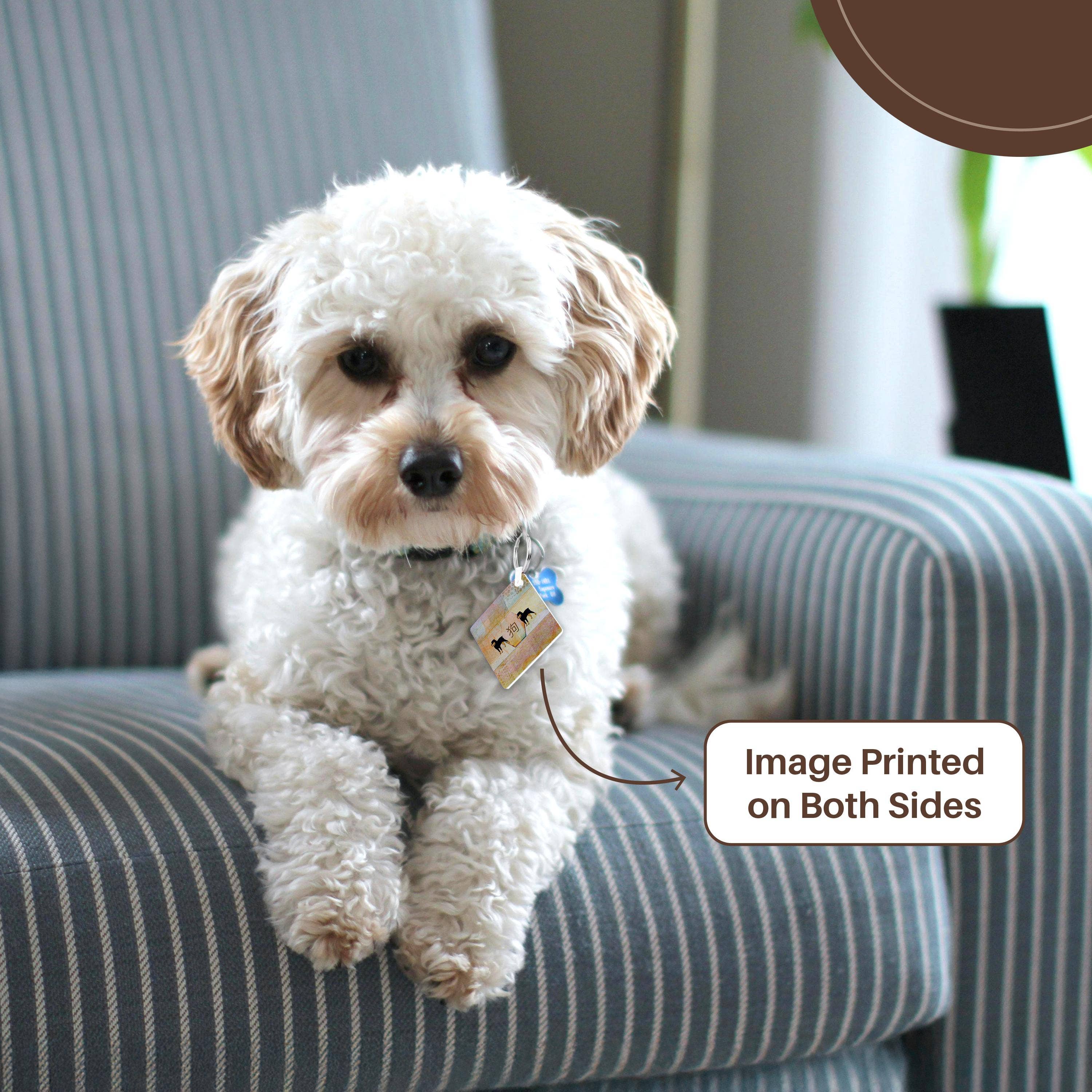 3dRose – Engroshandel Nøglering - Unisex – 3dRose, Dobermann, Filtoverflade Abstrakt, Hundens Tegn, Kinesisk, Pasteller, Nøglering1