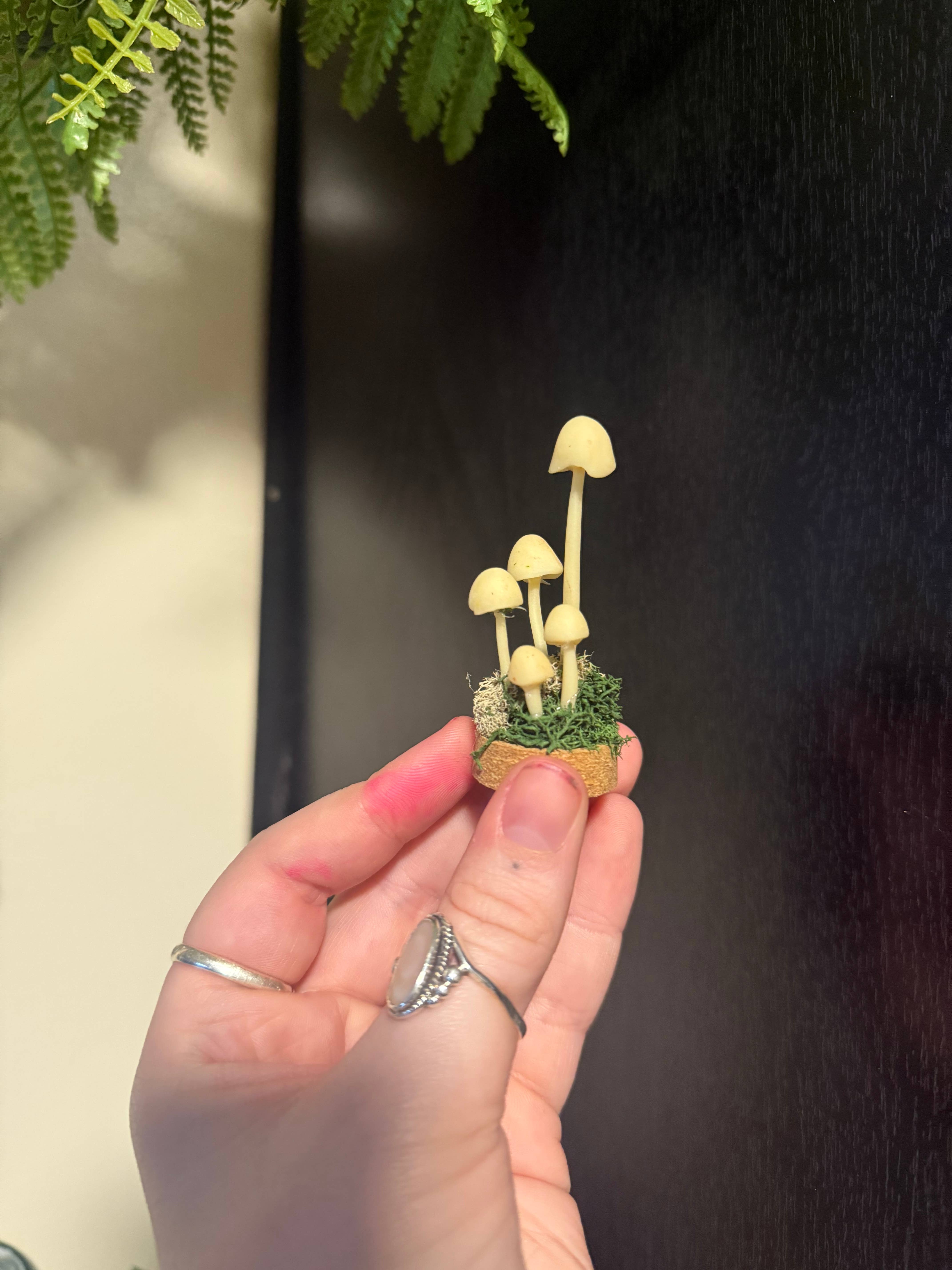 Leafy Ann Art - Wholesale Sculpture - Mushrooms glow mushroom terrarium5