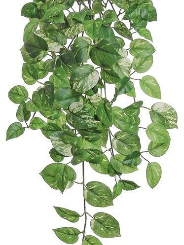 Pothos Bush/Vine, 32", 157 Lvs, Green/Cream for wholesale by Select Artificials, Inc.