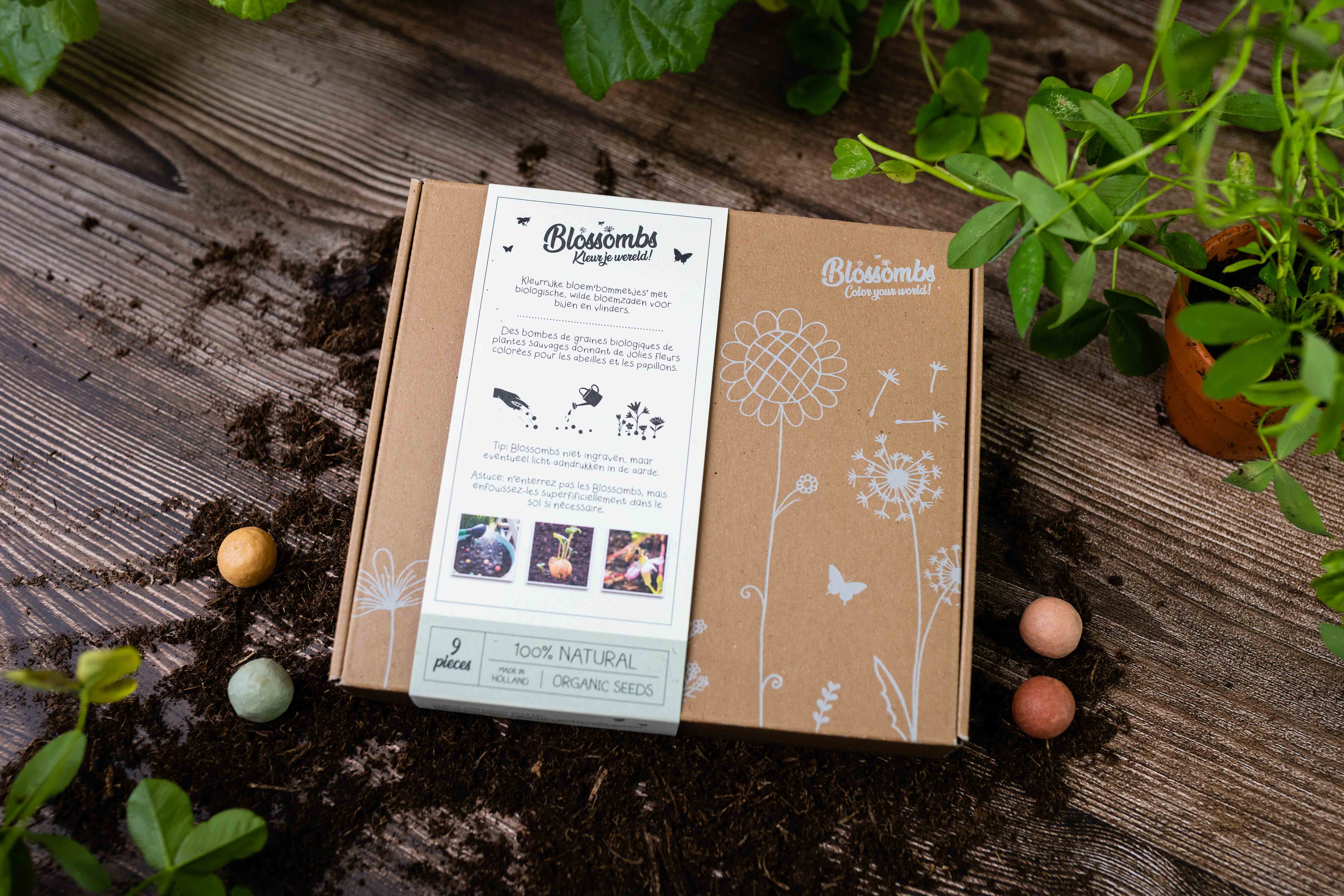 Blossombs – Engroshandel Plantefrø – Medium gaveæske med 9 økologiske frøbomber3