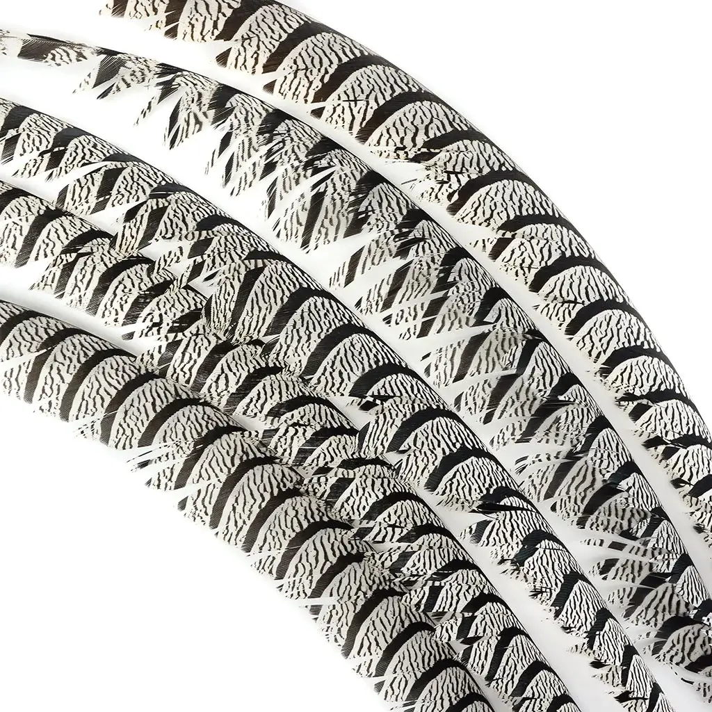 Zucker Feather Products – wholesale Feathers – Lady Amherst Pheasant Tail Natural2