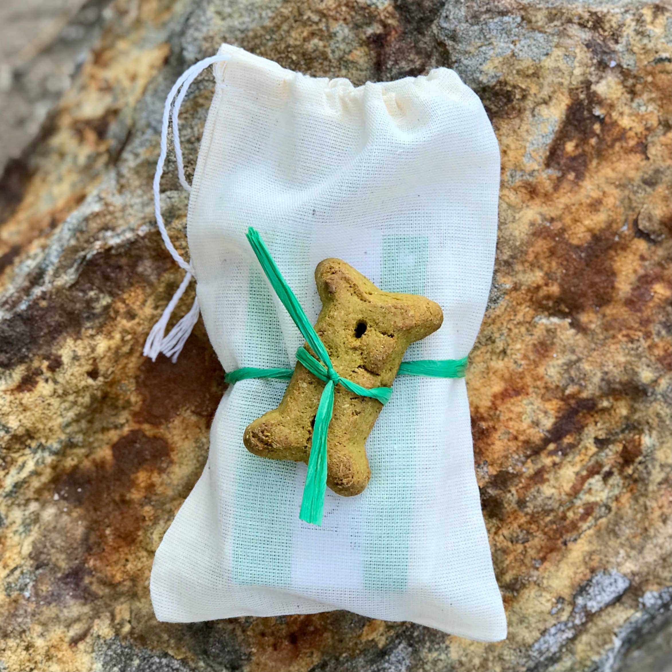 Cordoba Farms - Wholesale Pet Shampoo - Dog - RAD DOG Stink Relief Shampoo2