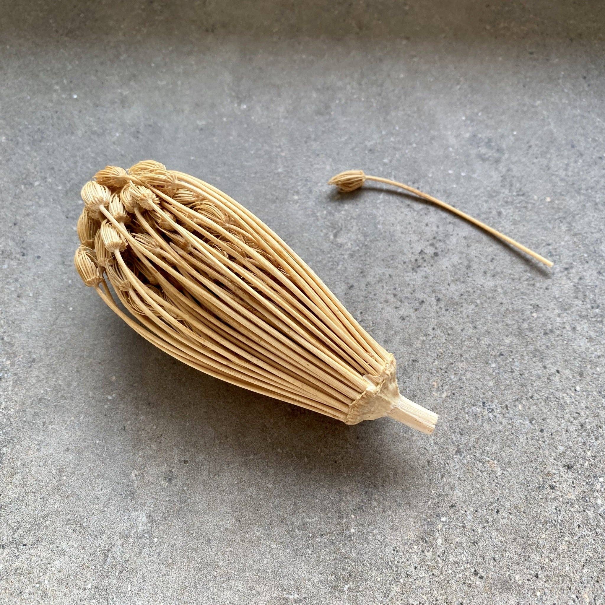 RIVSALT - Wholesale Toothpick - 014 TOOTHPICK REFILL [not available in the US] - moroccan1