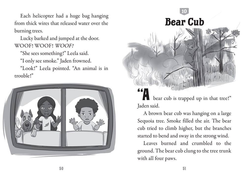 Scholastic - Wholesale Early Reader Book (6-8) - Blizzard Rescue2