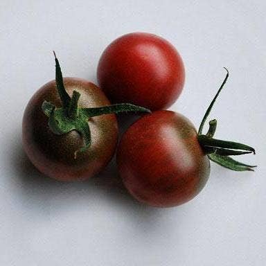 Sow True Seed - Wholesale Plant Seeds - Cherry Tomato Seeds - Black Cherry2