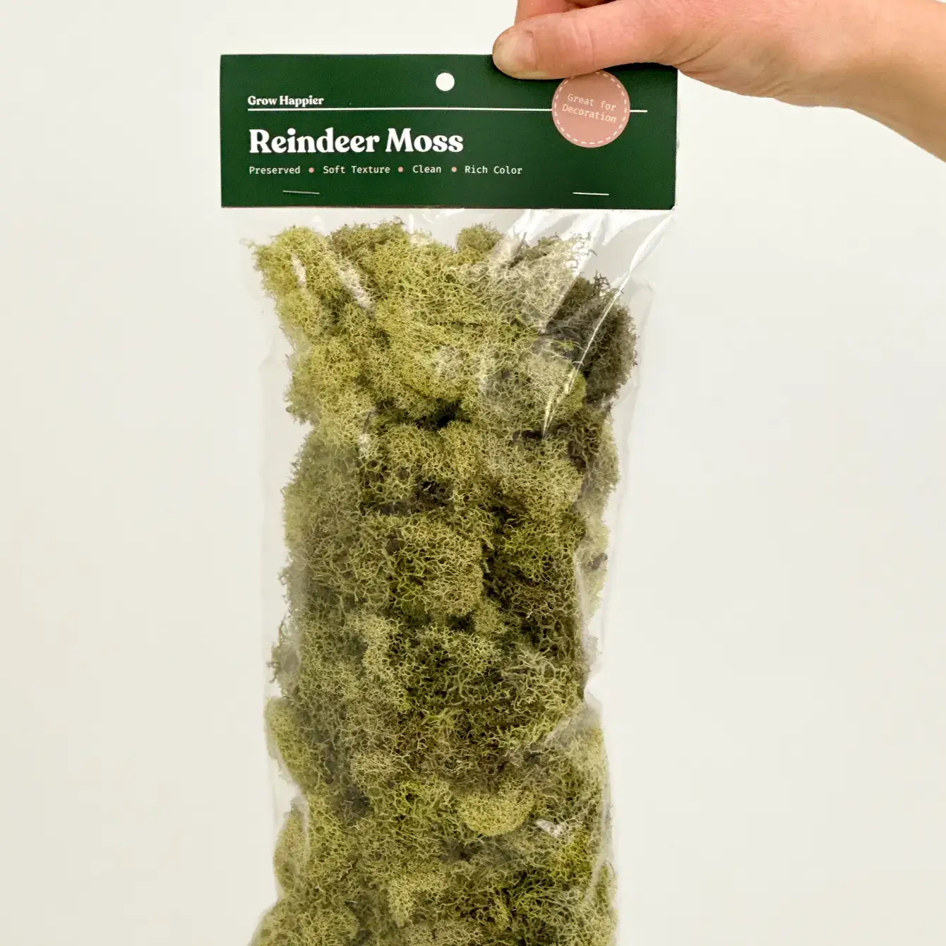 The Plant Supply - Wholesale Planting/Potting Soil - Preserved Reindeer Moss | Moss for Plants and Crafts6