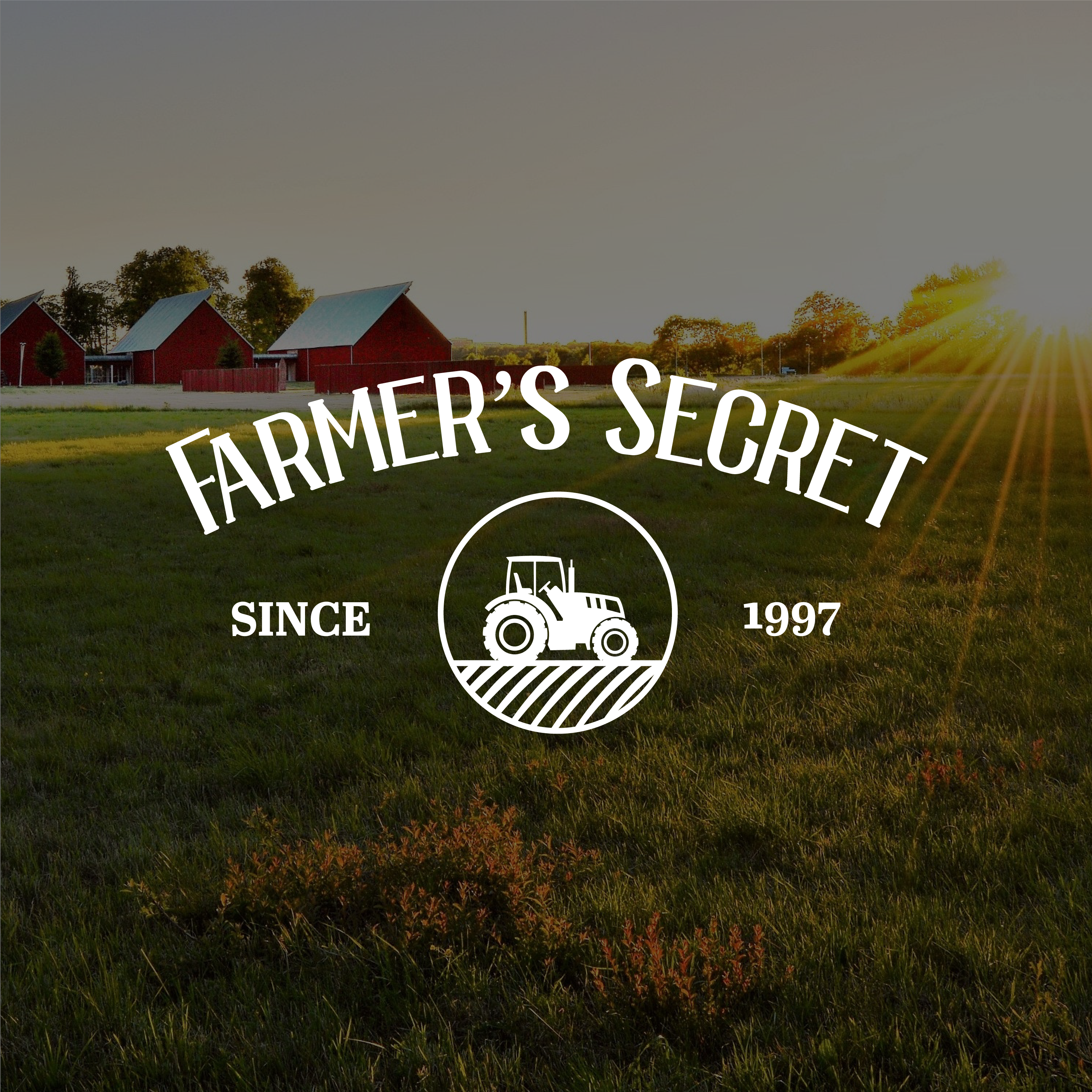 Farmer's Secret - Wholesale Kunstmest - Money Tree plantenvoeding 8oz8