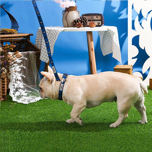 Hugsmart Products Inc - Wholesale Pet Collar - Dog - HugSmart Pet - Dog Collar | Cherry Boom4