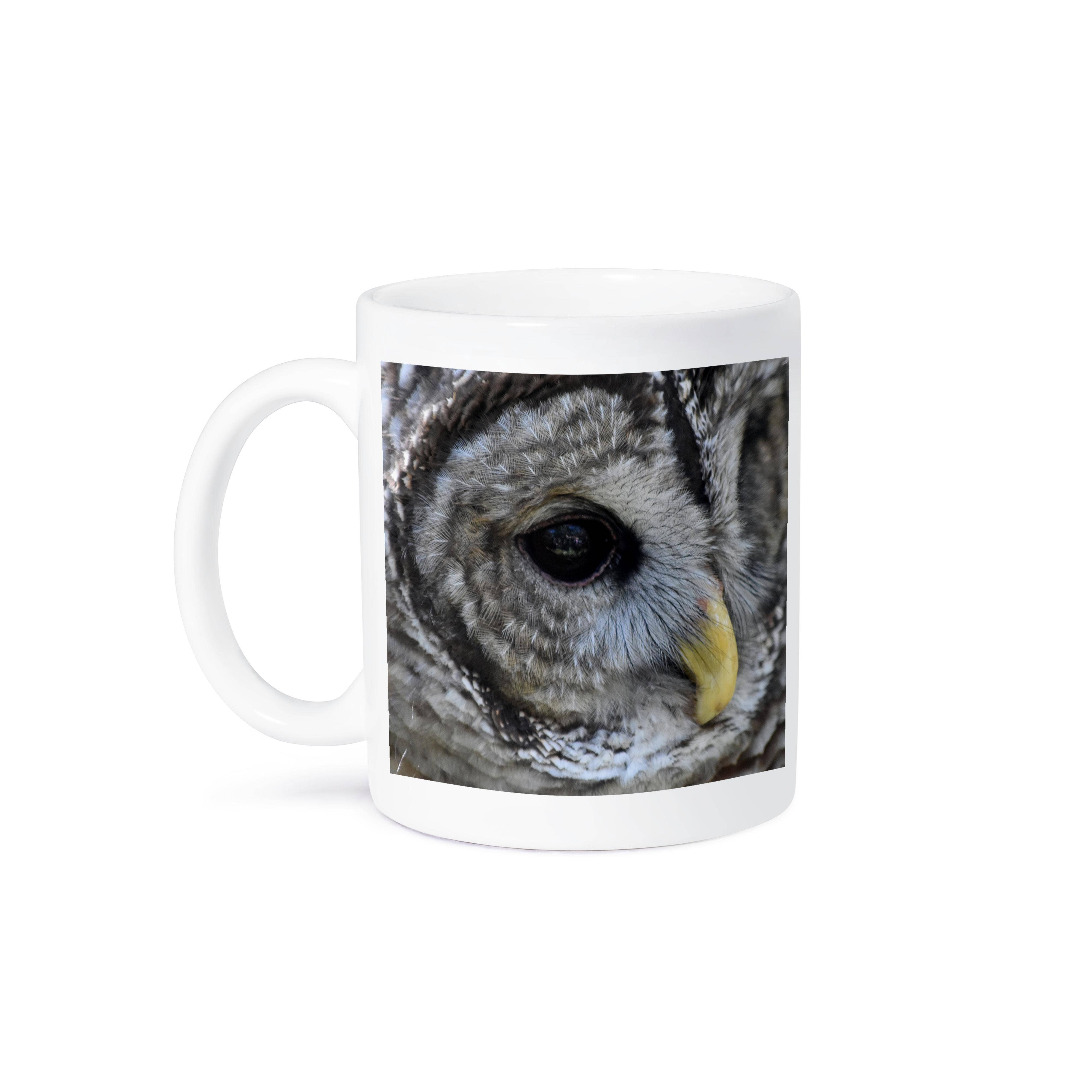 3dRose - Vente Tasse à café - 3dRose, Gros plan sur l'œil d'une chouette effraie, animal oiseau, Tasse8
