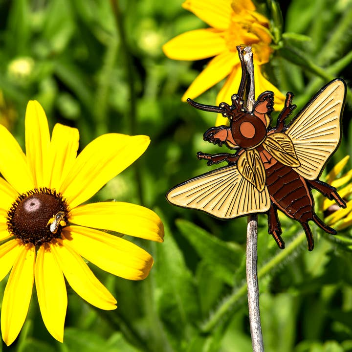 Flying European Mole Cricket emaljstift för wholesale av The Roving House